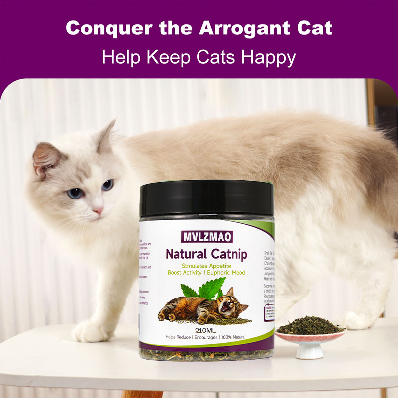 Cat Toys - Silvervine Catnip d – Nettle Leaf Tea recenzja i cena