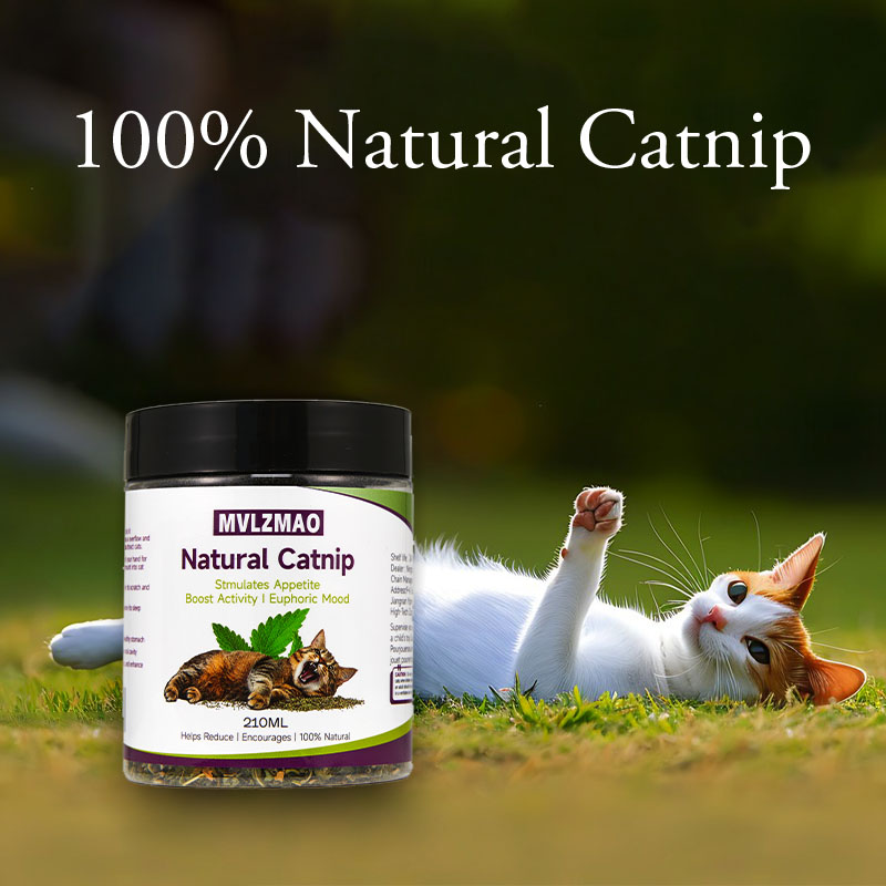 Cat Toys - Silvervine Catnip d – Nettle Leaf Tea recenzja i cena