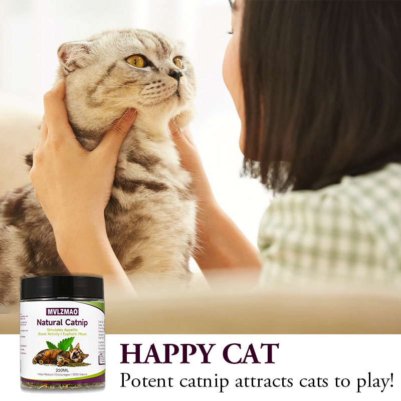 Cat Toys - Silvervine Catnip d – Nettle Leaf Tea recenzja i cena